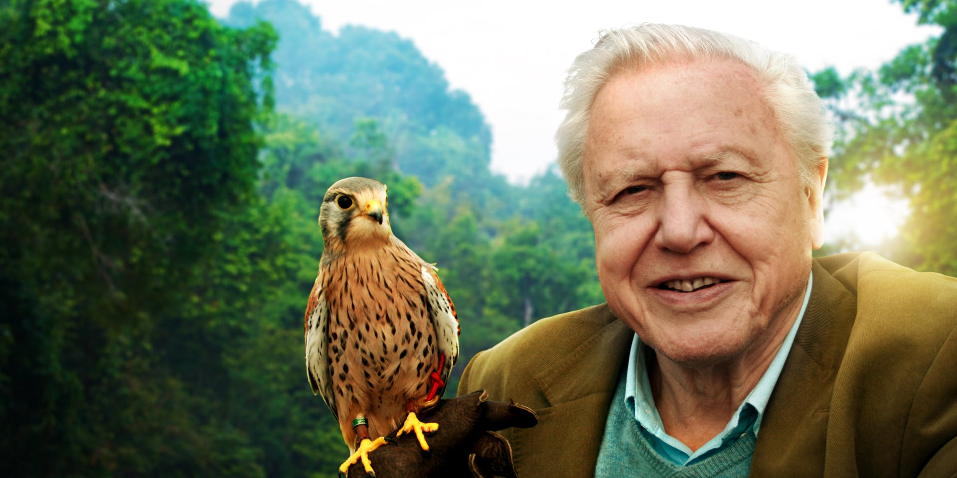 The BBC Has Commissioned Three New David Attenborough Documentary Series