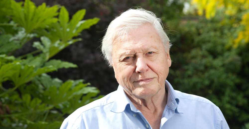 Sir David Attenborough, English broadcaster and naturalist, at his home in Richmond, Borough of Richmond upon Thames, England UK