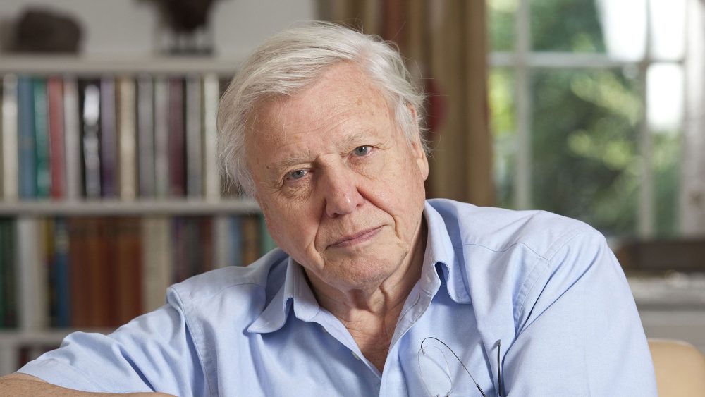 David Attenborough