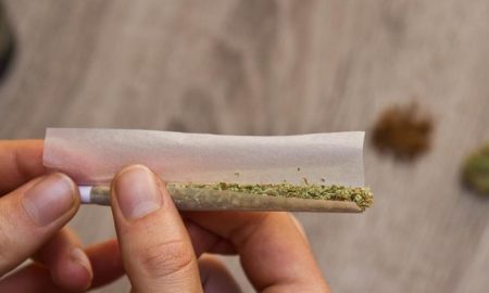 Spliff Roller