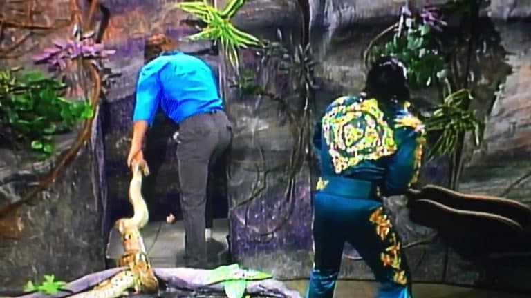 Pro Wrestling Flashback: Honky Tonk Man Accidentally Breaks Jake The Snake’s Neck With Brutal Guitar Smash