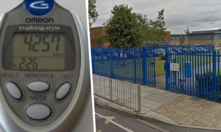 Pedometer