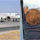 Saudi Plane Baby