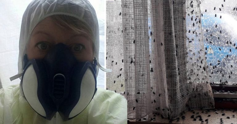 Horrifying Images Show Scene Where Body Lay Undiscovered For 10 Days In UK Heatwave (NSFL)