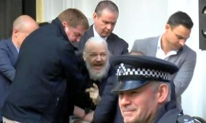 Assange Arrested