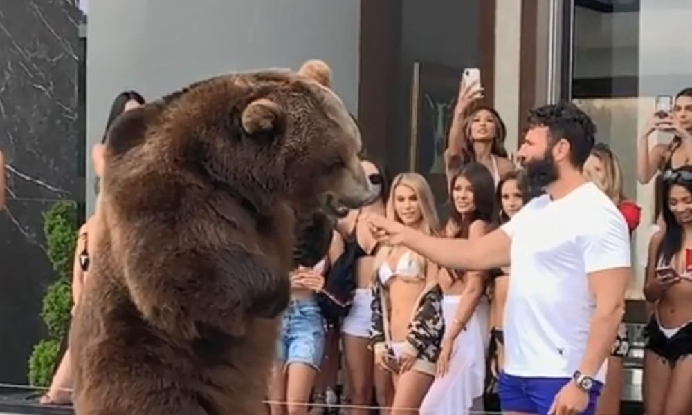 Dan Bilzerian Giant Bear