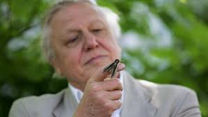 David Attenborough