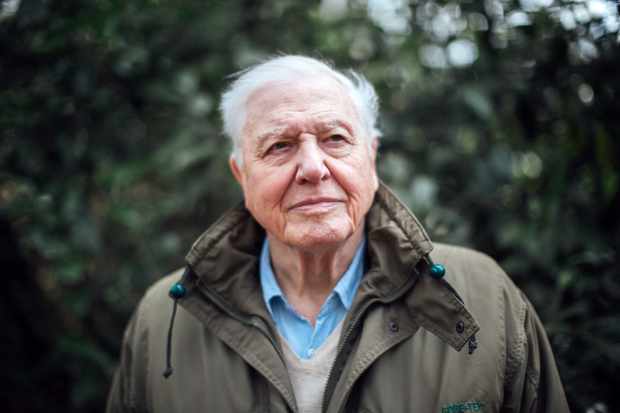 Climate Change with David Attenborough