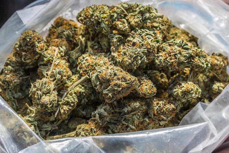 Weed