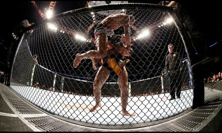 Cage Fighting