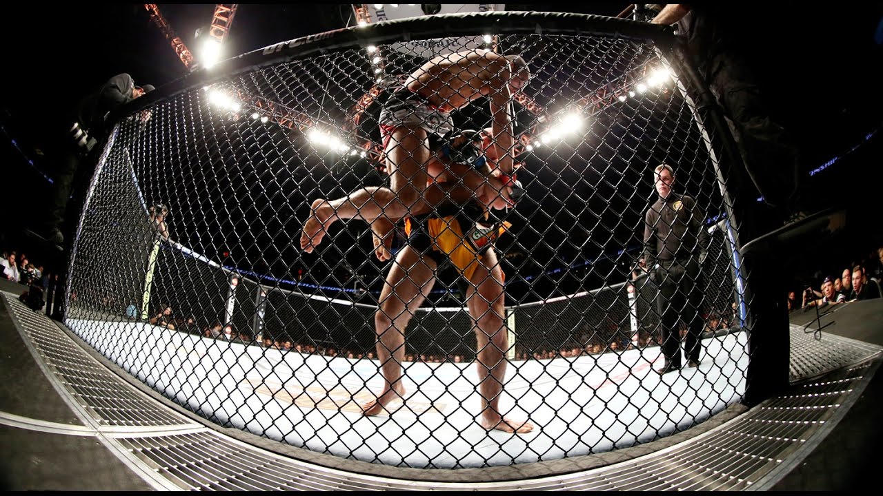 Cage Fighting