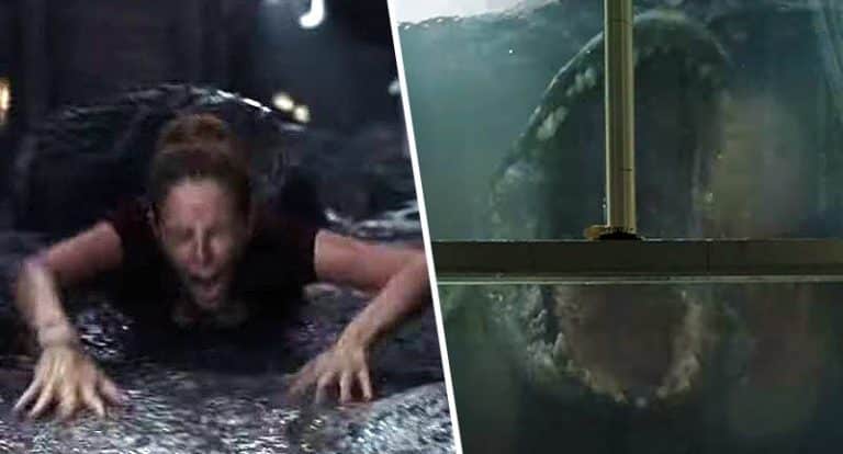 Crawl