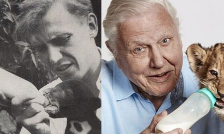 David Attenborough