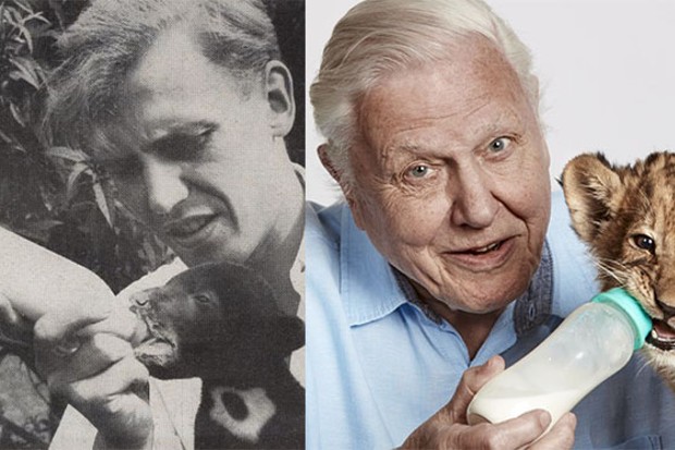 David Attenborough