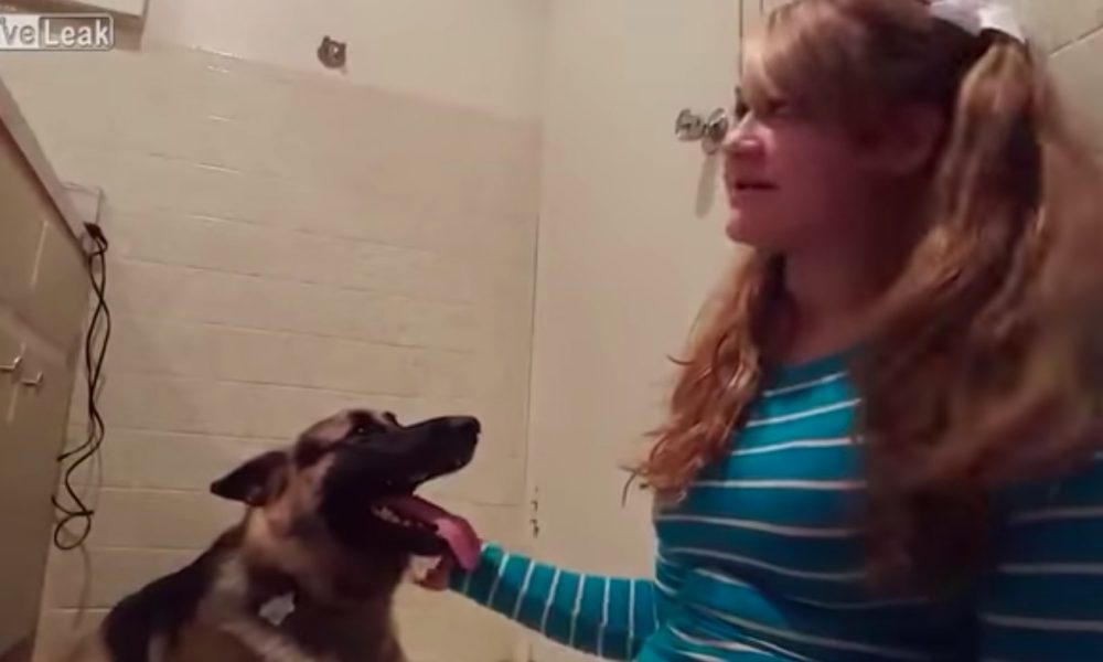 Girl Has Sex With Her Dog
