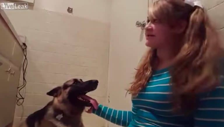 woman dog