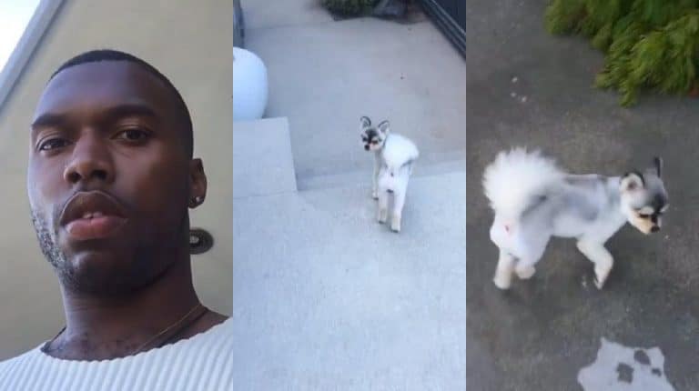 Someone Has Stolen Daniel Sturridge’s Dog And He Is Heartbroken