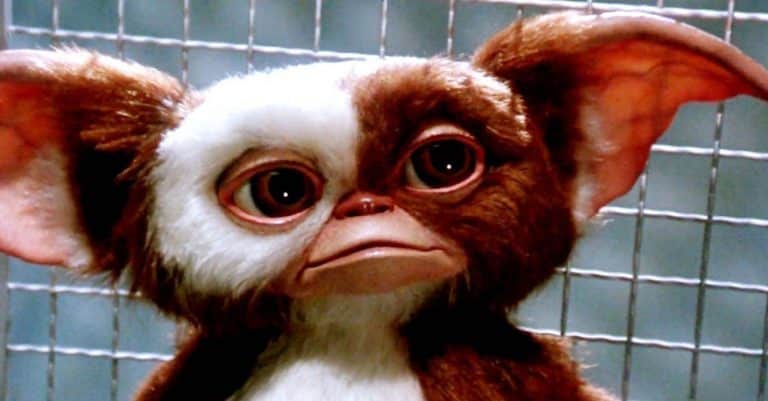 Gremlins Is Officially Returning As An Animated TV Show