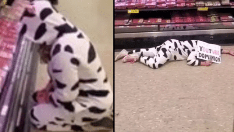 A Vegan Protester Dressed Up As A Cow And Mourned The Meat Section In A Supermarket