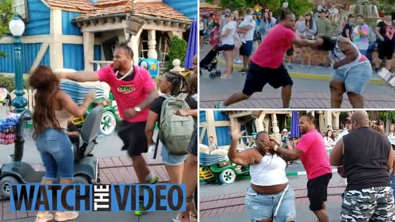 Brutal Fight Breaks Out At Disneyland, Entire Family Beats The Crap Out Of Each Other (VIDEO)