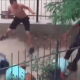 shirtless hero