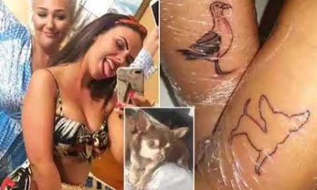 tattoo seagull dog