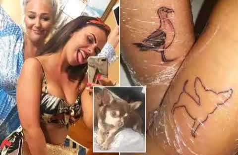 tattoo seagull dog