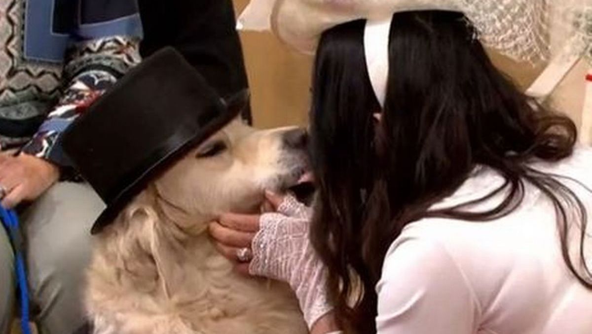 woman marries dog