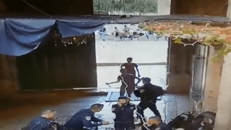 Two Palestinian Boys With Large Knives Attack Israeli Police, Police Shoot Back (NSFL)