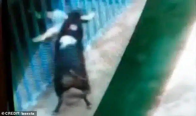 A Man Was ‘Decapitated’ By A Bull During The Running Of The Bulls