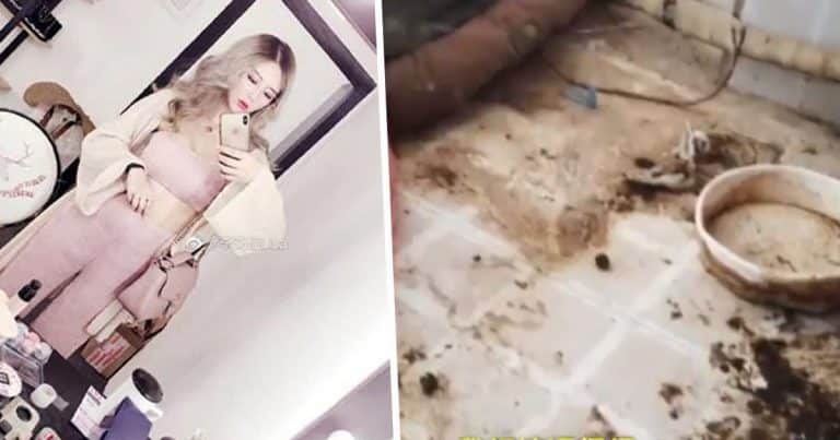Instagram Influencer With Lavish Lifestyle Called Out By Landlord For Having Flat Covered In Dog Shit