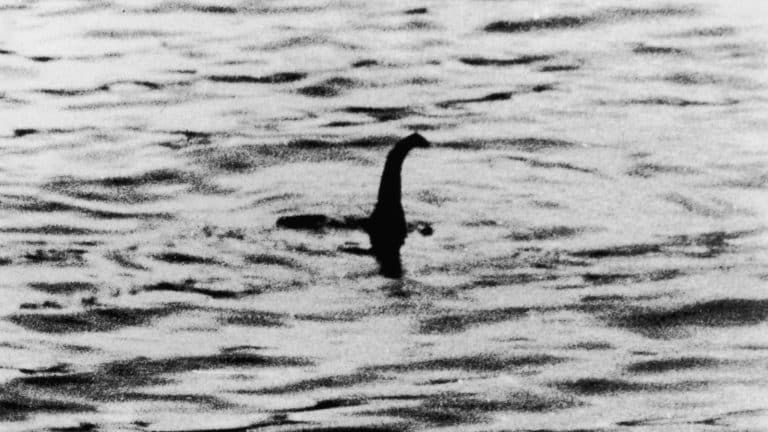 Scientists Have Finally Managed To Explain The Loch Ness Monster