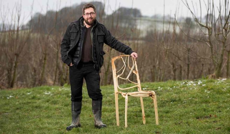 You Can Now Buy A Fully Grown Tree In The Shape Of A Chair For £12,000