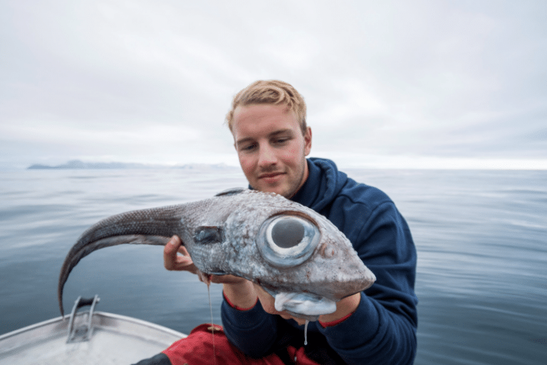 This Norwegian Dude Went Fishing And Ended Up Catching A Rare Alien ‘Ratfish’