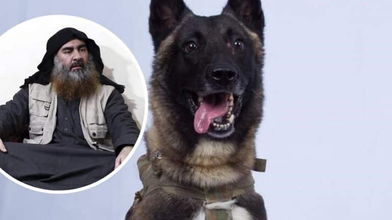 Meet The Very Good Girl Who Helped Take Out ISIS Leader Abu Bakr Al-Baghdadi