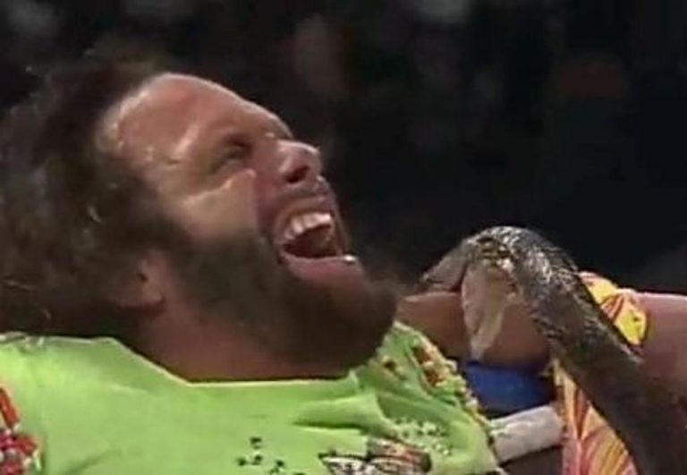 Pro Wrestling Flashback: Jake The Snake Unleashes King Cobra On ‘Macho Man’ Randy Savage (NSFL)