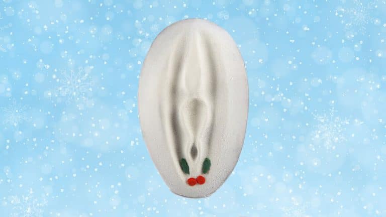 You Can Buy A Christmas Pudding Flavoured Vegan Fudge In The Shape Of A Vagina