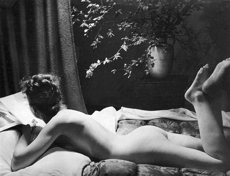Someone Has Written A Book About The Secret Depravity Of The Pornography Of The Third Reich