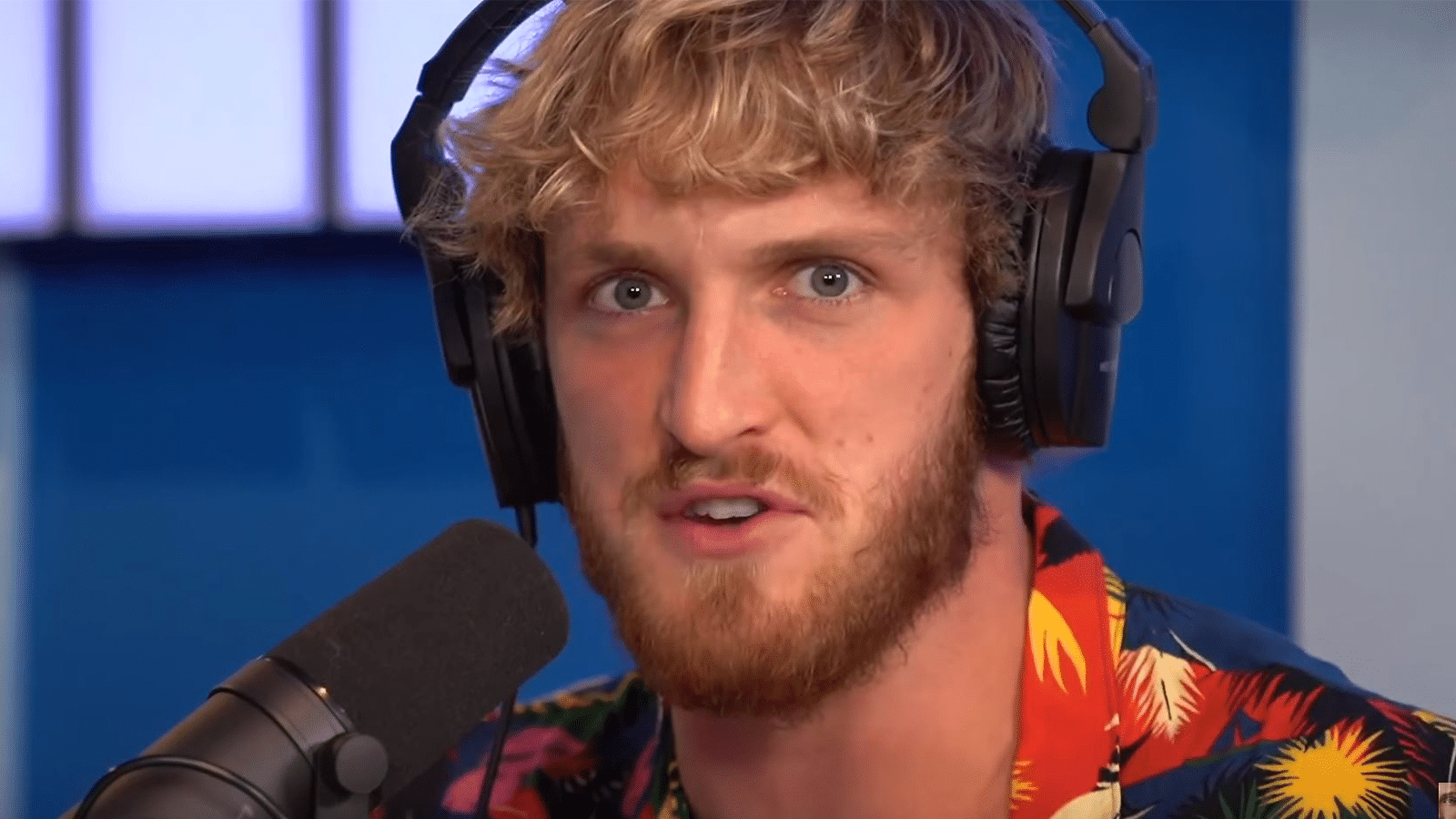 Logan Paul Patreon