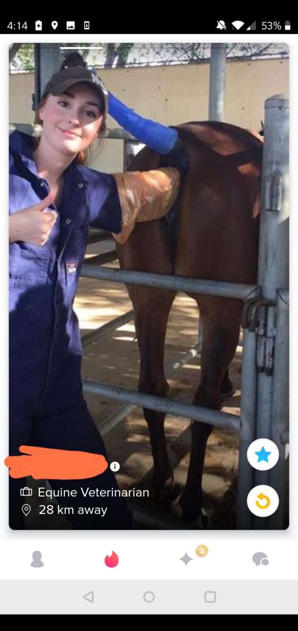 The Best And Worst Tinder Profiles And Conversations In The World #191