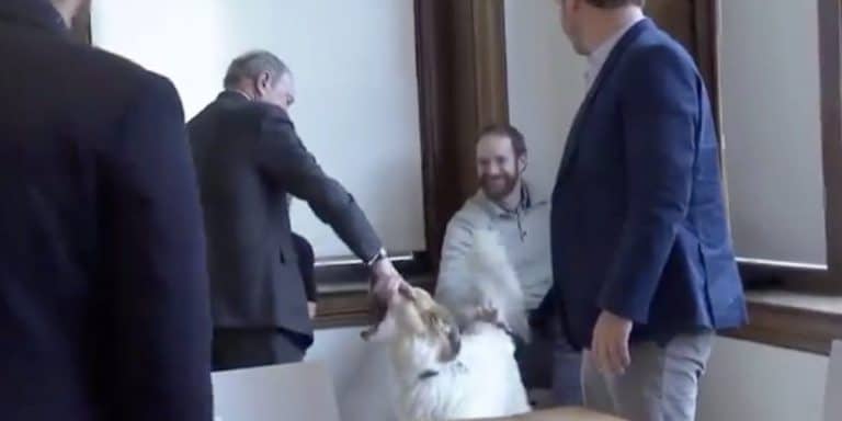 Presidential Candidate Michael Bloomberg Grabs Dog By The Mouth And Shakes It (VIDEO)