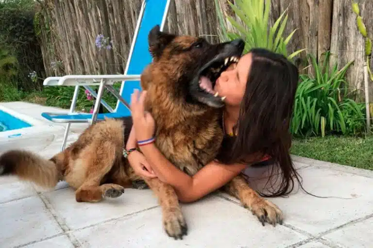 Teen’s Photoshoot Goes Wrong When Dog Bites Her Face (NSFL)