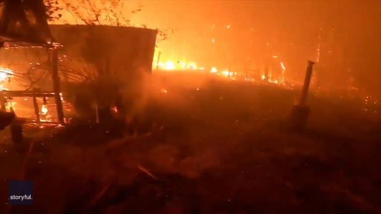 Unreal Video Of Aussie Dad & Daughter Battling Flames To Save Their Home In Wild Bushfires