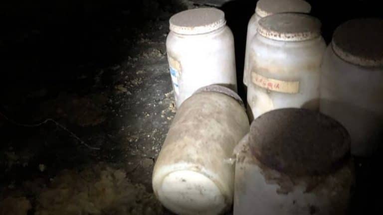 A Jar Of Human Tongues Has Been Found Underneath A Home In Florida