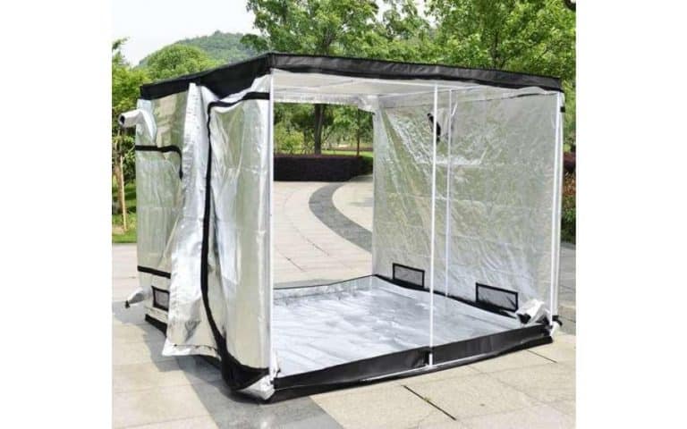 Why Should I Get A Grow Tent?