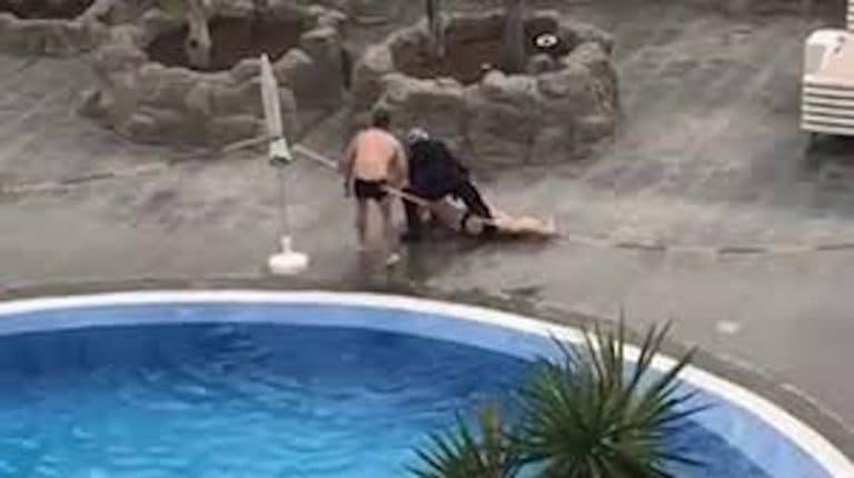 British Woman Flaunts Spanish Coronavirus Rules By Swimming In Pool; Gets Brutally Arrested