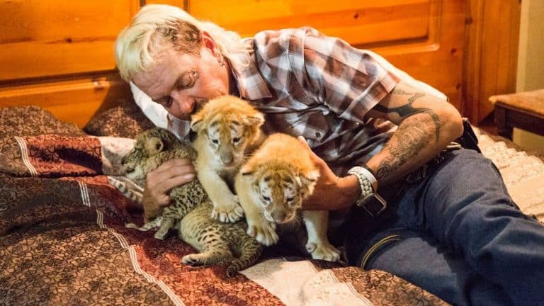 A New Twitter Thread Has Exposed Loads More Crazy Information About ‘Tiger King’