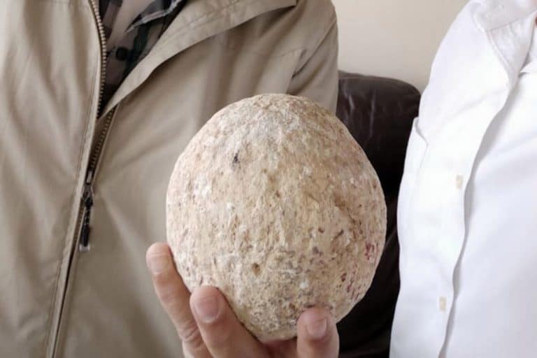 Israeli Man Returns 2,000-Year-Old Stolen Artifact After Fearing Coronavirus Apocalypse