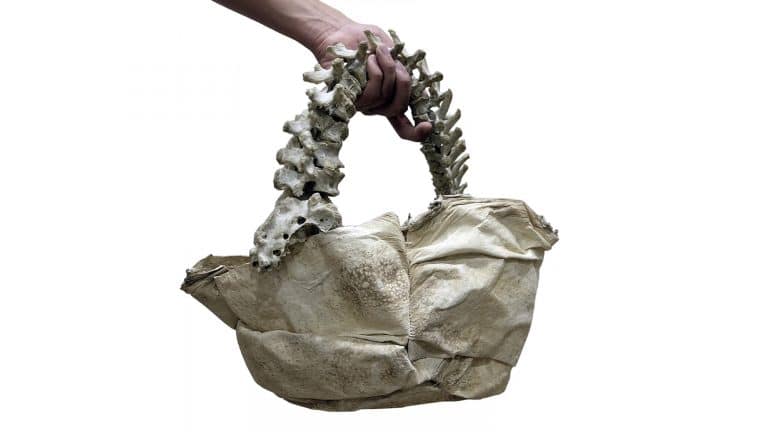 Instagram ‘Rich Kid’ Fashion Star Selling Handbag He Made Out Of A Human Spine