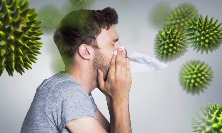 The Complex Balance Between Cannabis And The Immune System